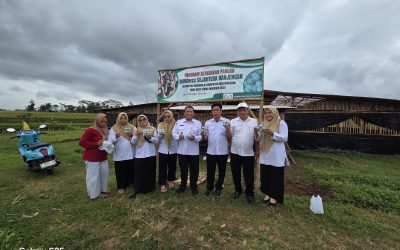 Lokasi Ketahanan Pangan desa Banjengan survei bebek petelor