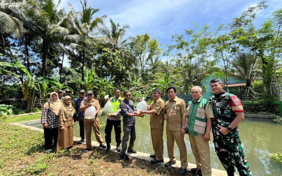 Tebar benih ikan program ketahan pangan desa kebanaran